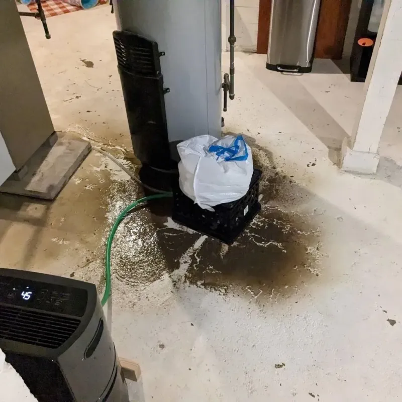 Sewage Backup Cleanup Service in Colfax, IA